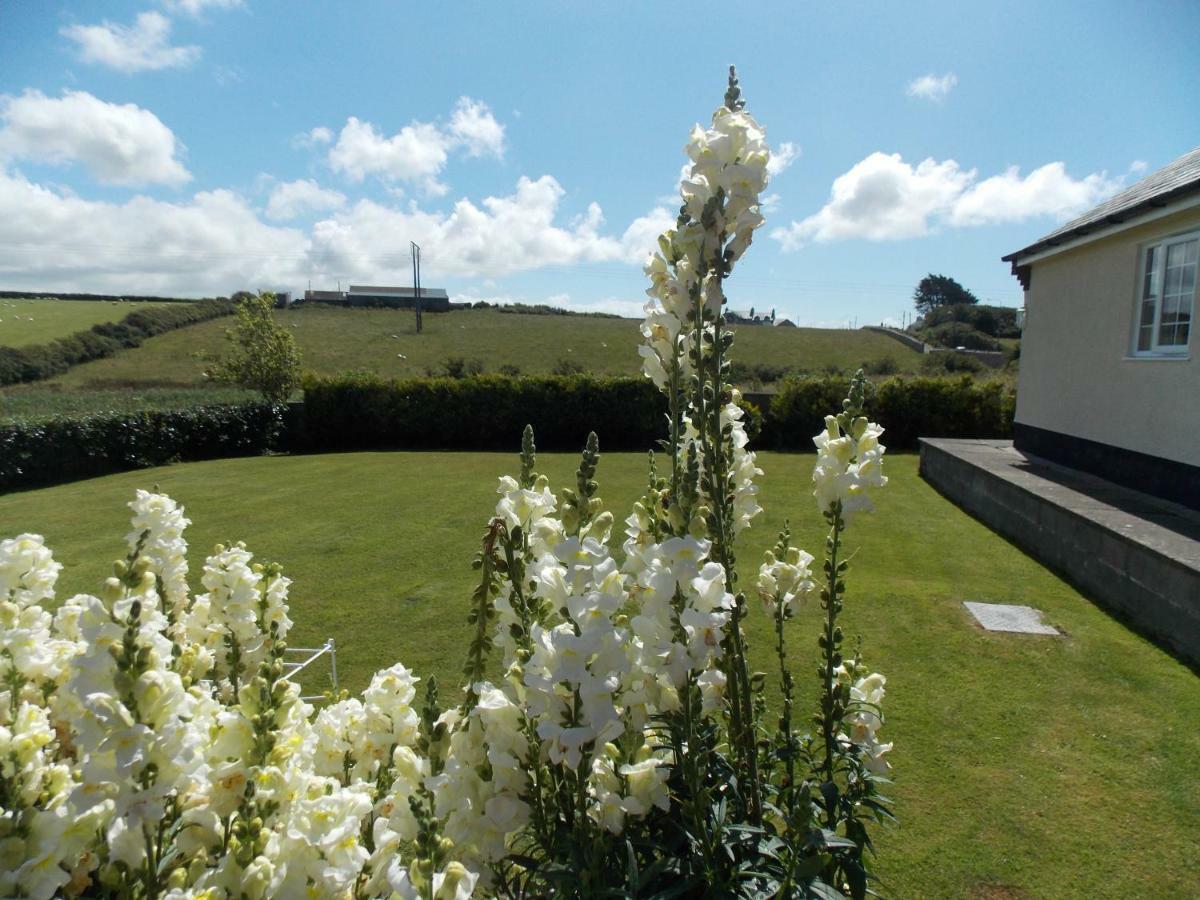 Craig Eithin B & B Holyhead Esterno foto